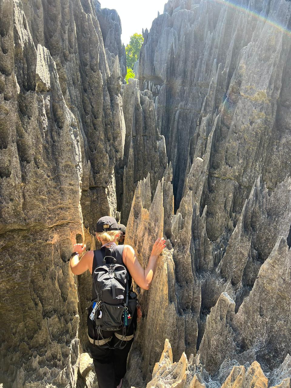 10-DAY NATURE & CULTURE TOUR: FROM ANDASIBE RAINFOREST TO THE BAOBAB HEARTLAND