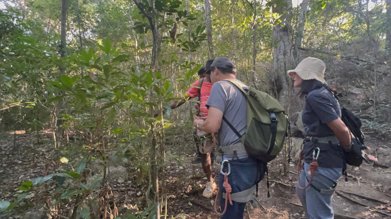 7-DAY TOUR: ANTANANARIVO – MORONDAVA – BAOBAB AVENUE – TSINGY DE BEMARAHA (CUSTOMIZABLE)