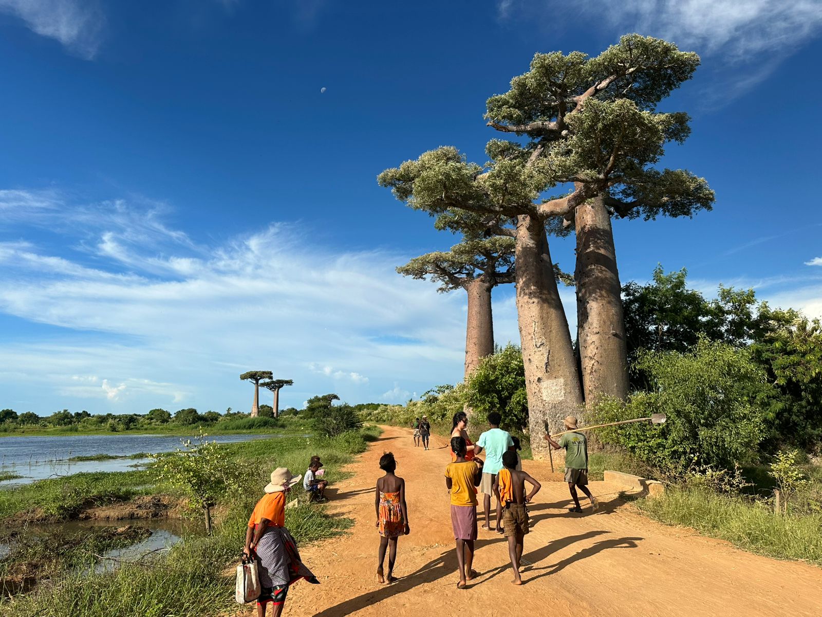 7-DAY TOUR: ANTANANARIVO – MORONDAVA – BAOBAB AVENUE – TSINGY DE BEMARAHA (CUSTOMIZABLE)