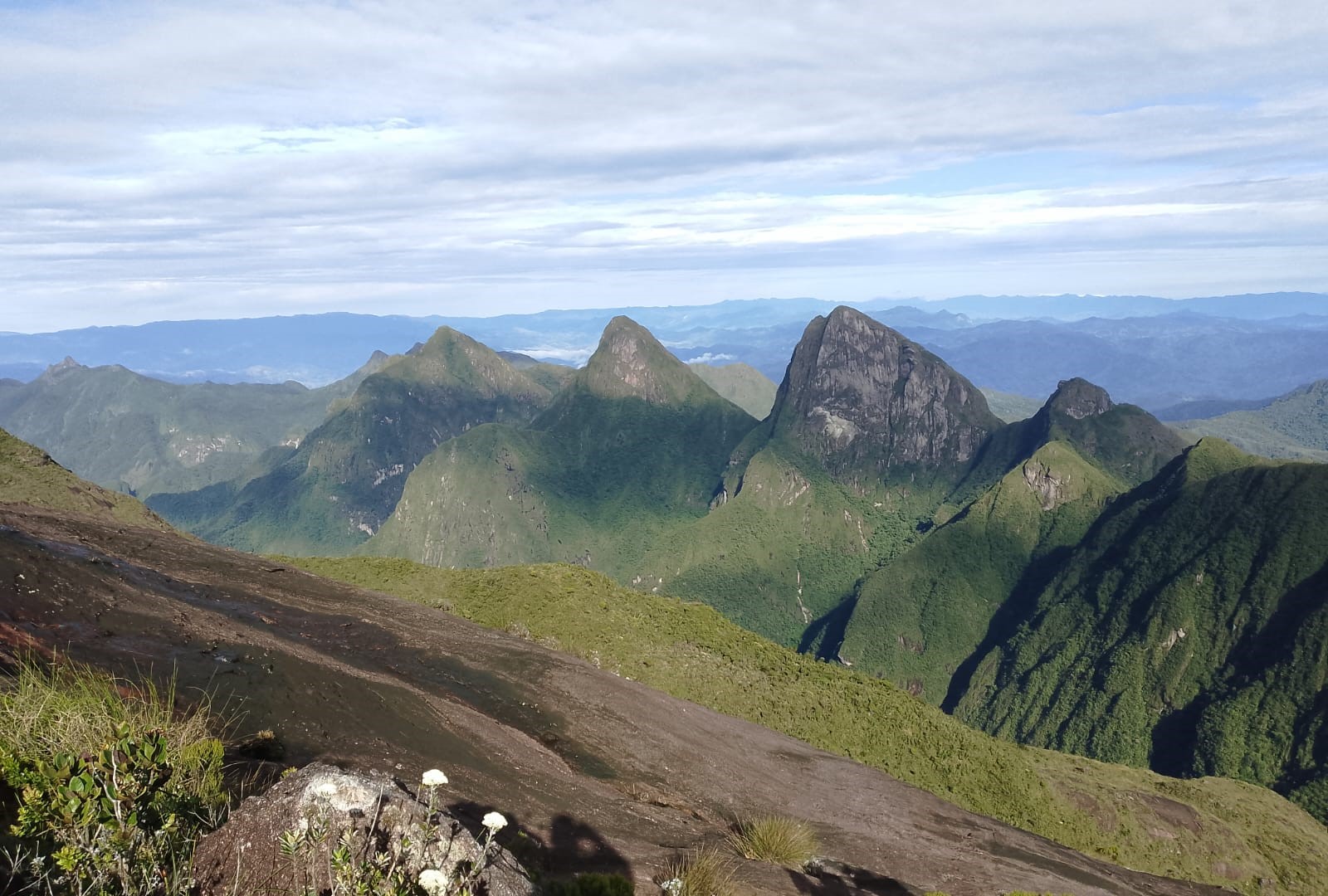 8-DAY ADVENTURE DISCOVER MAROJEJY & SAVA REGION WITH FLIGHT, THE WONDERS OF MADAGASCAR DOMESTIC FLIGHTNOT INCLUDED (CUSTOMIZABLE)