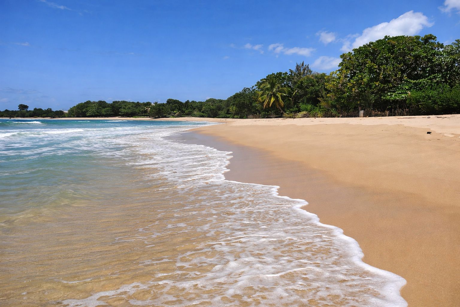 8-DAY ADVENTURE DISCOVER MAROJEJY & SAVA REGION WITH FLIGHT, THE WONDERS OF MADAGASCAR DOMESTIC FLIGHTNOT INCLUDED (CUSTOMIZABLE)