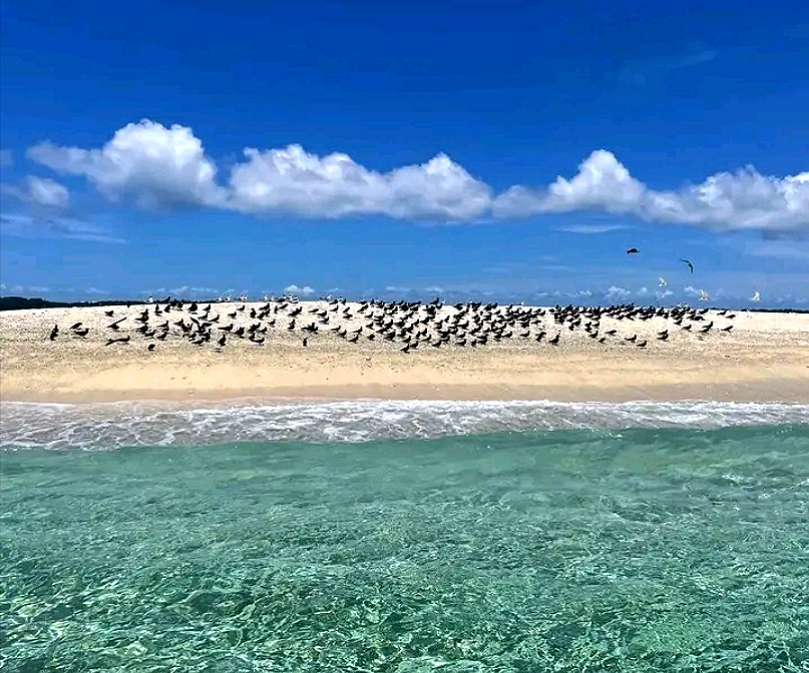 8 days from Tana to the Tropics of Eastern Andasibe national parks and and Northern Masoala: Museum, History, Lemurs, Rainforests & Island Discoveries (CUSTOMIZABLE)