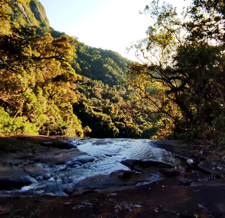 8 days from Tana to the Tropics of Eastern Andasibe national parks and and Northern Masoala: Museum, History, Lemurs, Rainforests & Island Discoveries (CUSTOMIZABLE)