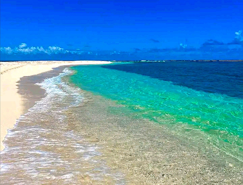 8 days from Tana to the Tropics of Eastern Andasibe national parks and and Northern Masoala: Museum, History, Lemurs, Rainforests & Island Discoveries (CUSTOMIZABLE)