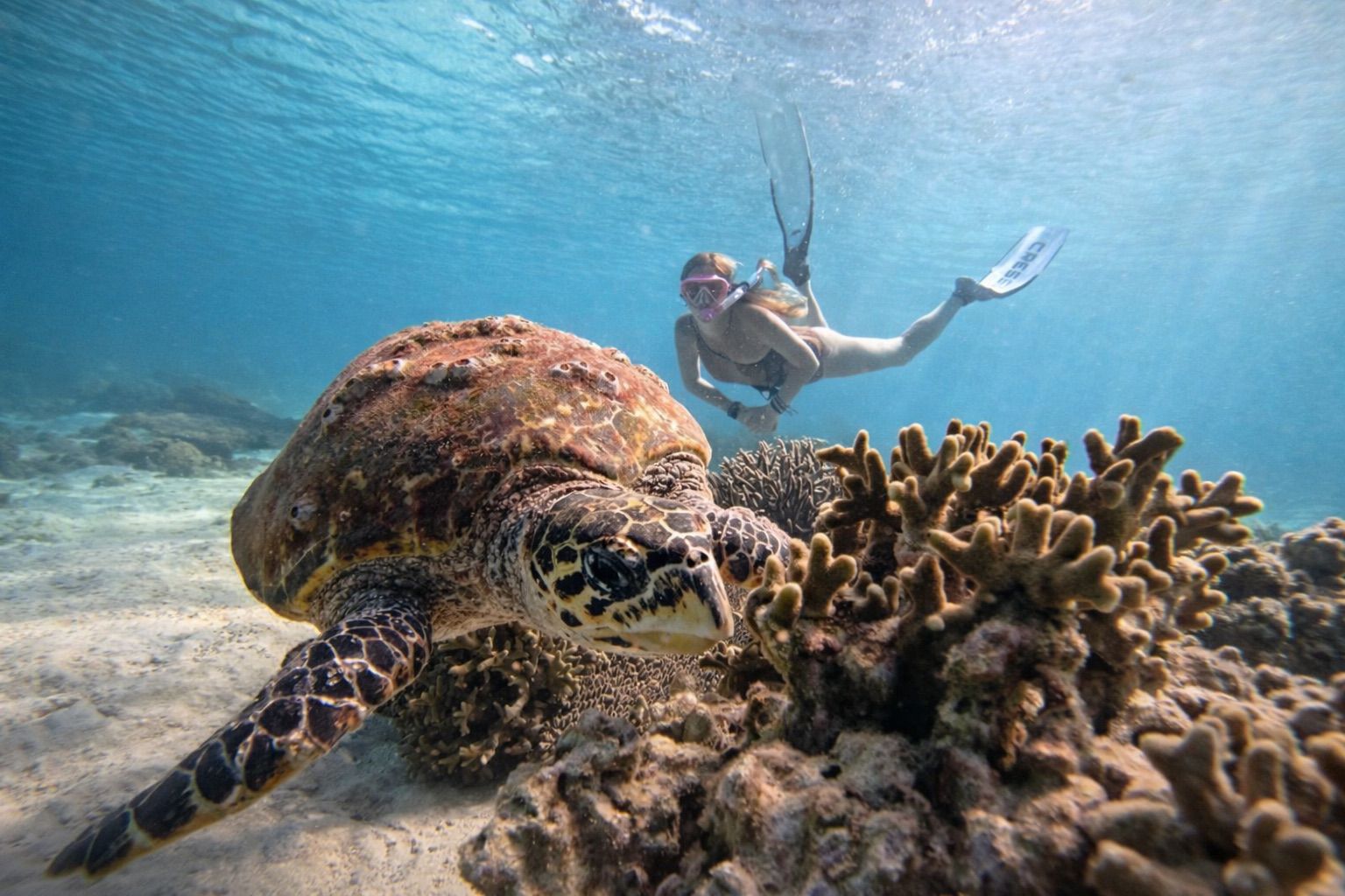 8 days from Tana to the Tropics of Eastern Andasibe national parks and and Northern Masoala: Museum, History, Lemurs, Rainforests & Island Discoveries (CUSTOMIZABLE)