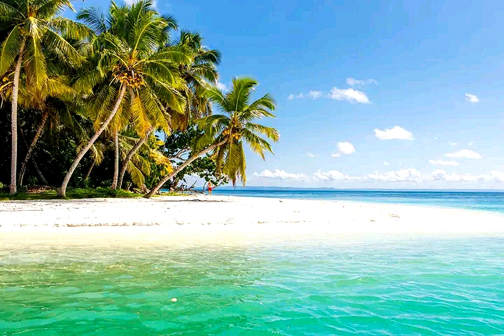 9-Day Wildlife Experience, Pristine beaches and Cultural Immersion From antanananarivo to  Andasibe, Toamasina and the island of whale sainte marie (CUSTOMIZABLE)