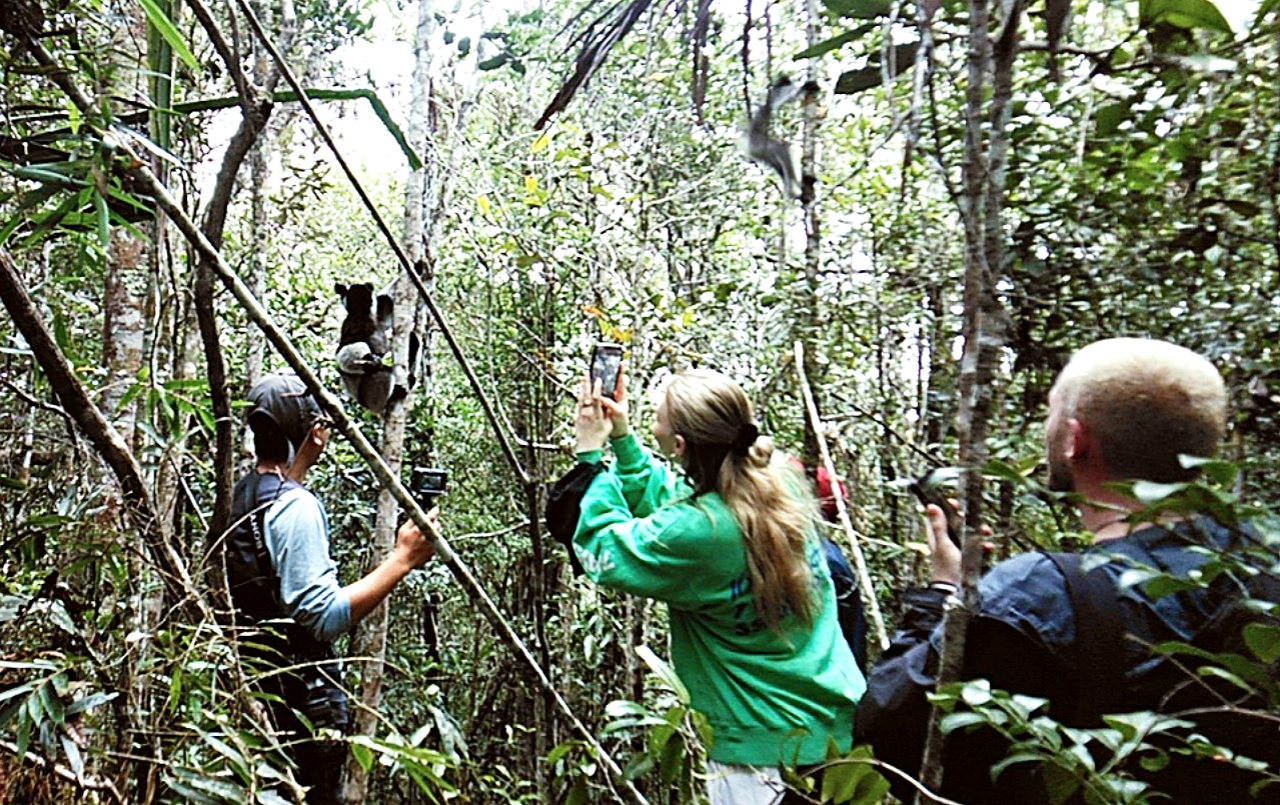 9-Day Wildlife Experience, Pristine beaches and Cultural Immersion From antanananarivo to  Andasibe, Toamasina and the island of whale sainte marie (CUSTOMIZABLE)