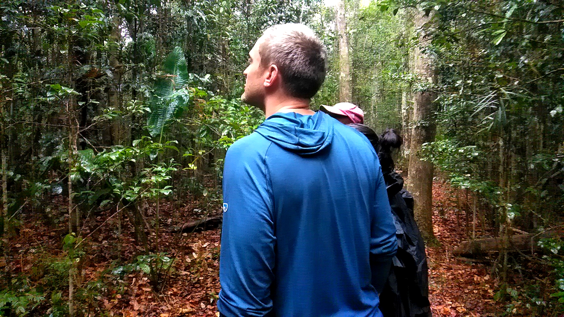 9-Day Wildlife Experience, Pristine beaches and Cultural Immersion From antanananarivo to  Andasibe, Toamasina and the island of whale sainte marie (CUSTOMIZABLE)