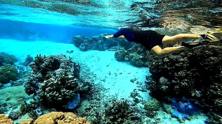 9-Day Wildlife Experience, Pristine beaches and Cultural Immersion From antanananarivo to  Andasibe, Toamasina and the island of whale sainte marie (CUSTOMIZABLE)