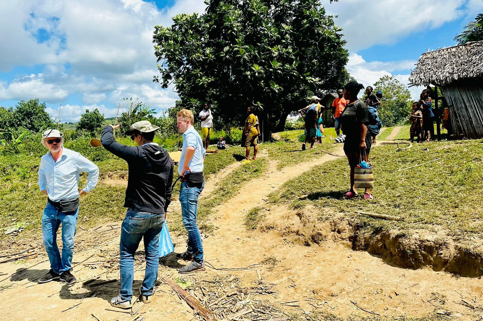 9-DAY WILDLIFE EXPERIENCE, PRISTINE BEACHES AND CULTURAL IMMERSION FROM ANTANANARIVO TO ANDASIBE, TOAMASINA AND THE ISLAND OF WHALE SAINTE MARIE (CUSTOMIZABLE)