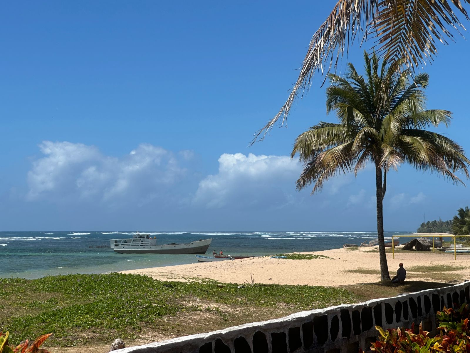 9-DAY WILDLIFE EXPERIENCE, PRISTINE BEACHES AND CULTURAL IMMERSION FROM ANTANANARIVO TO ANDASIBE, TOAMASINA AND THE ISLAND OF WHALE SAINTE MARIE (CUSTOMIZABLE)