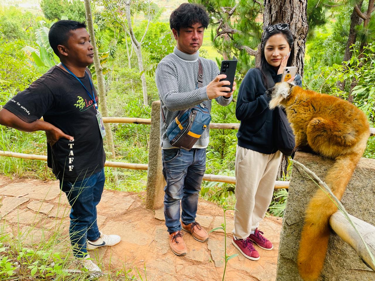 FULL-DAY LEMURS’ PARK & ANTANANARIVO CITY TOUR (CUSTOMIZABLE)