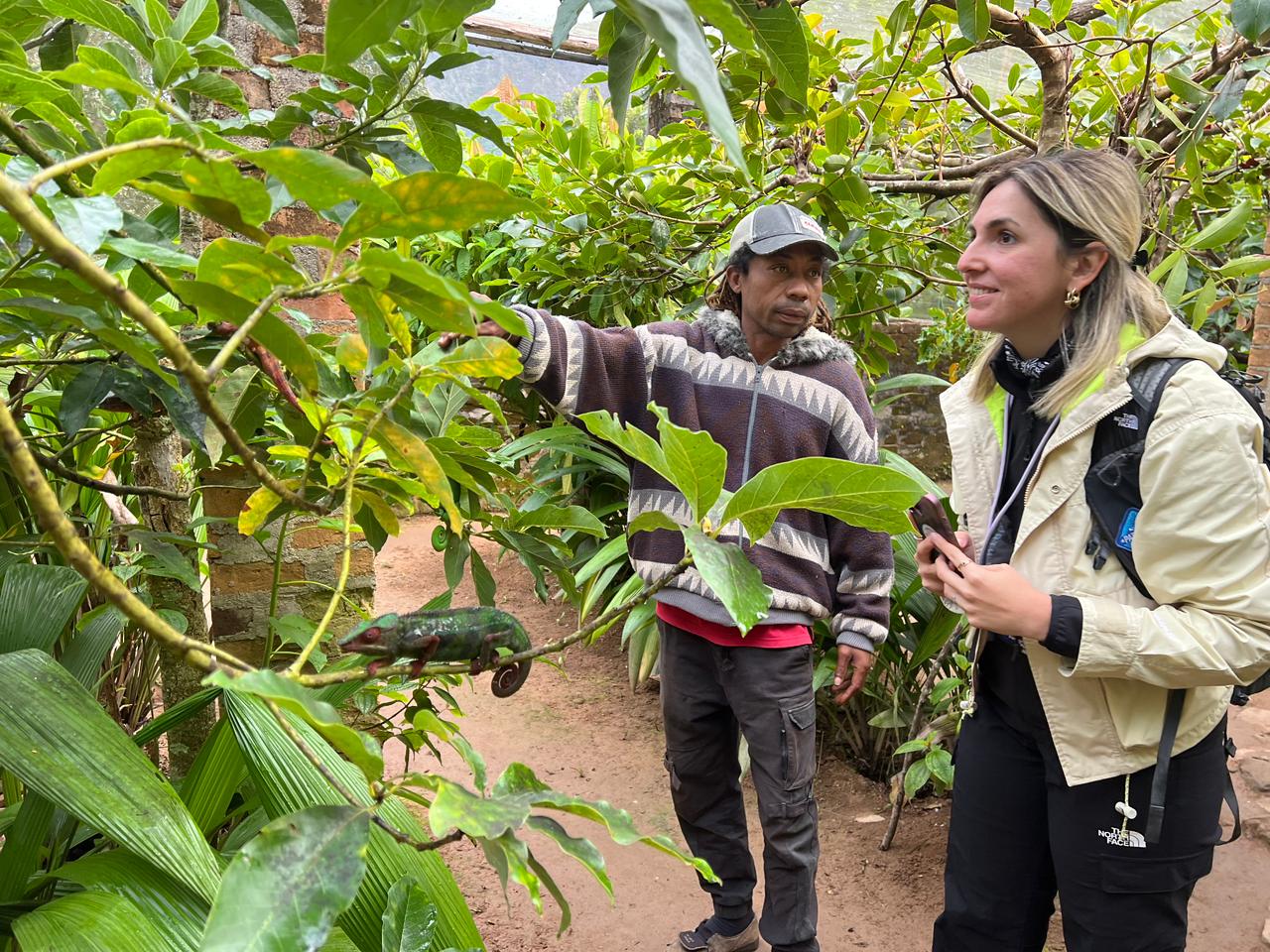 FULL-DAY WILDLIFE AND CULTURAL EXPLORATION TOUR AT MITSINJO ANALAMAZOATRA NATIONAL PARK AND ANDASIBE DESCRIPTION (CUSTOMIZABLE)