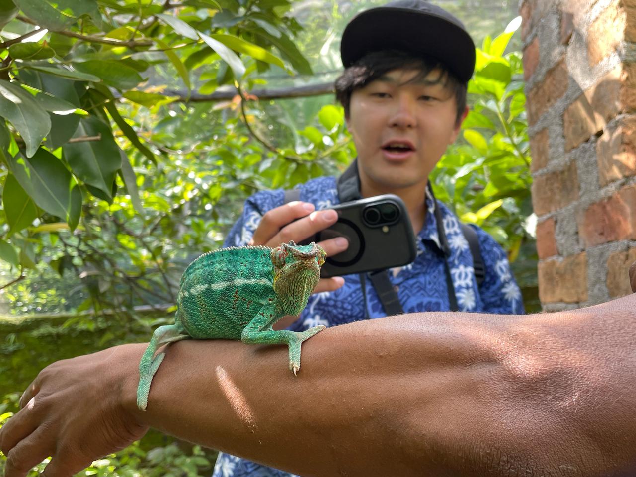 FULL-DAY WILDLIFE AND CULTURAL EXPLORATION TOUR AT MITSINJO ANALAMAZOATRA NATIONAL PARK AND ANDASIBE DESCRIPTION (CUSTOMIZABLE)