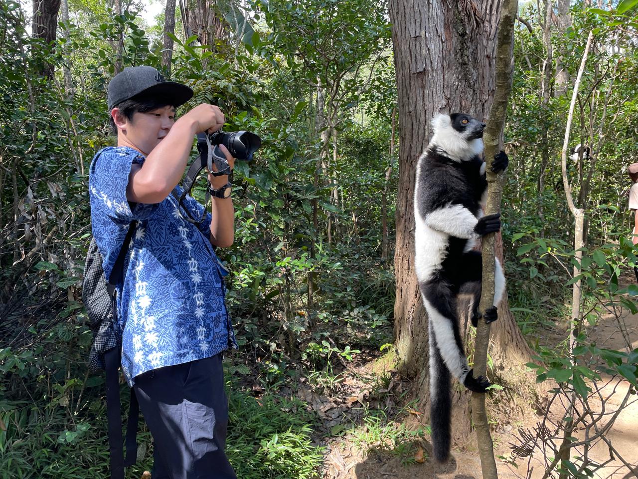 FULL-DAY WILDLIFE AND CULTURAL EXPLORATION TOUR AT MITSINJO ANALAMAZOATRA NATIONAL PARK AND ANDASIBE DESCRIPTION (CUSTOMIZABLE)