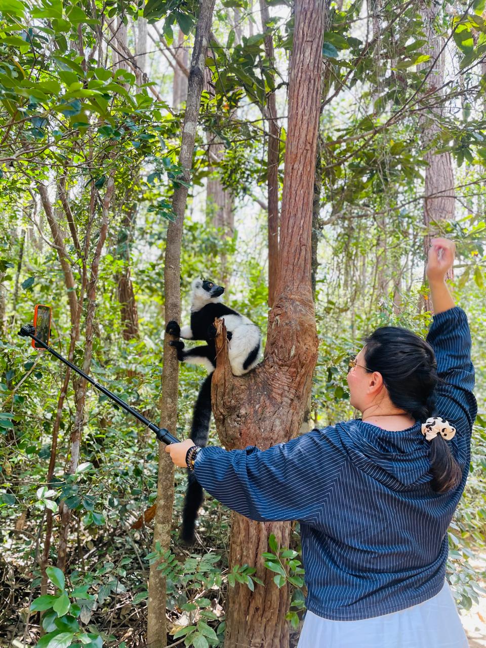 FULL-DAY WILDLIFE AND CULTURAL EXPLORATION TOUR AT MITSINJO ANALAMAZOATRA NATIONAL PARK AND ANDASIBE DESCRIPTION (CUSTOMIZABLE)