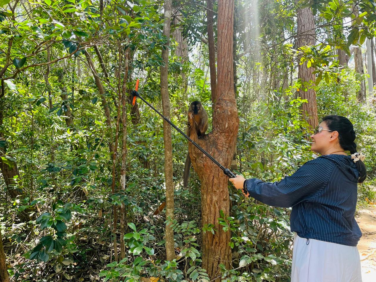 FULL-DAY WILDLIFE AND CULTURAL EXPLORATION TOUR AT MITSINJO ANALAMAZOATRA NATIONAL PARK AND ANDASIBE DESCRIPTION (CUSTOMIZABLE)