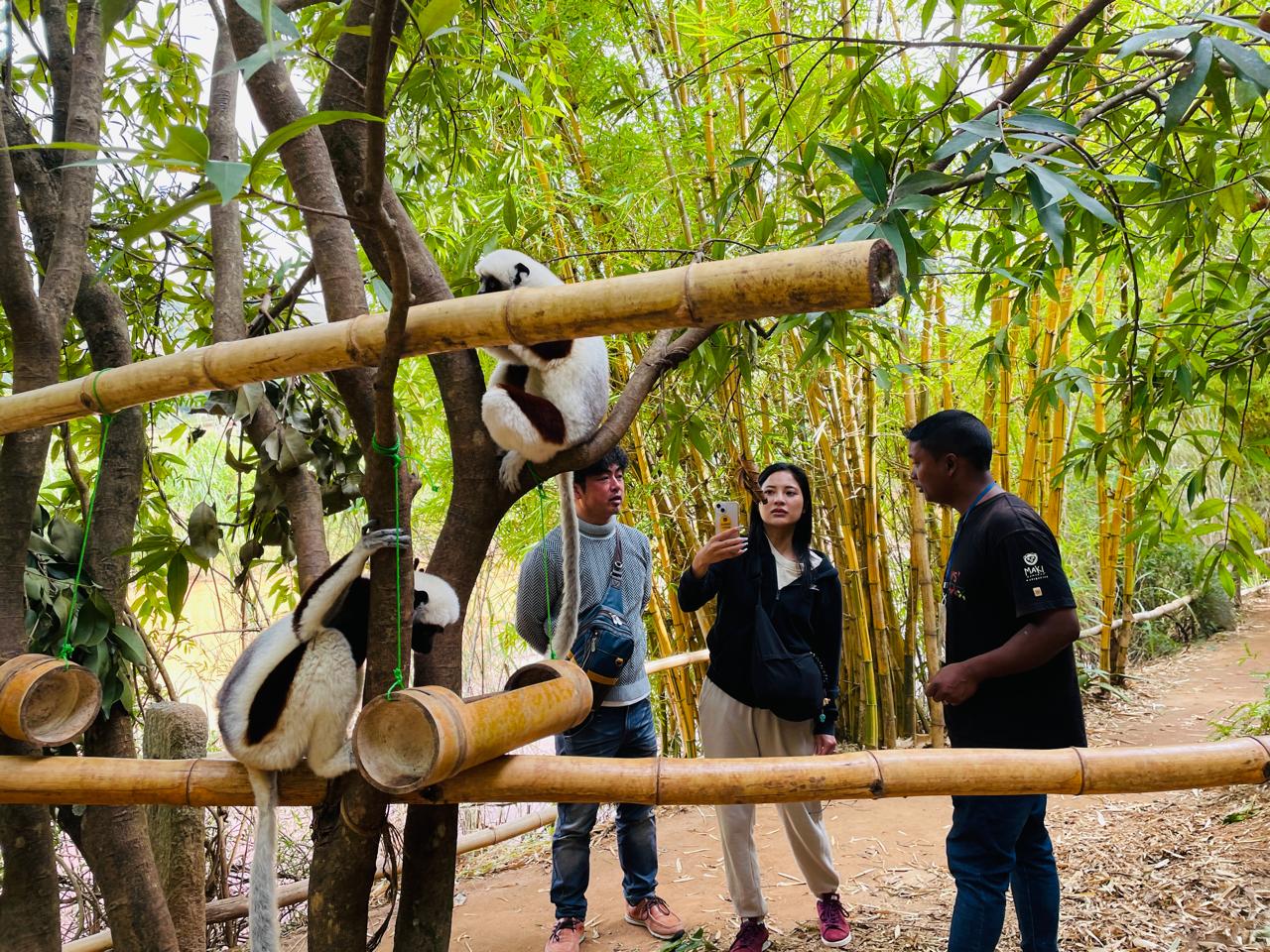 Madagascar: 3-Day Baobabs’ avenue, Lemurs Tour with Flights