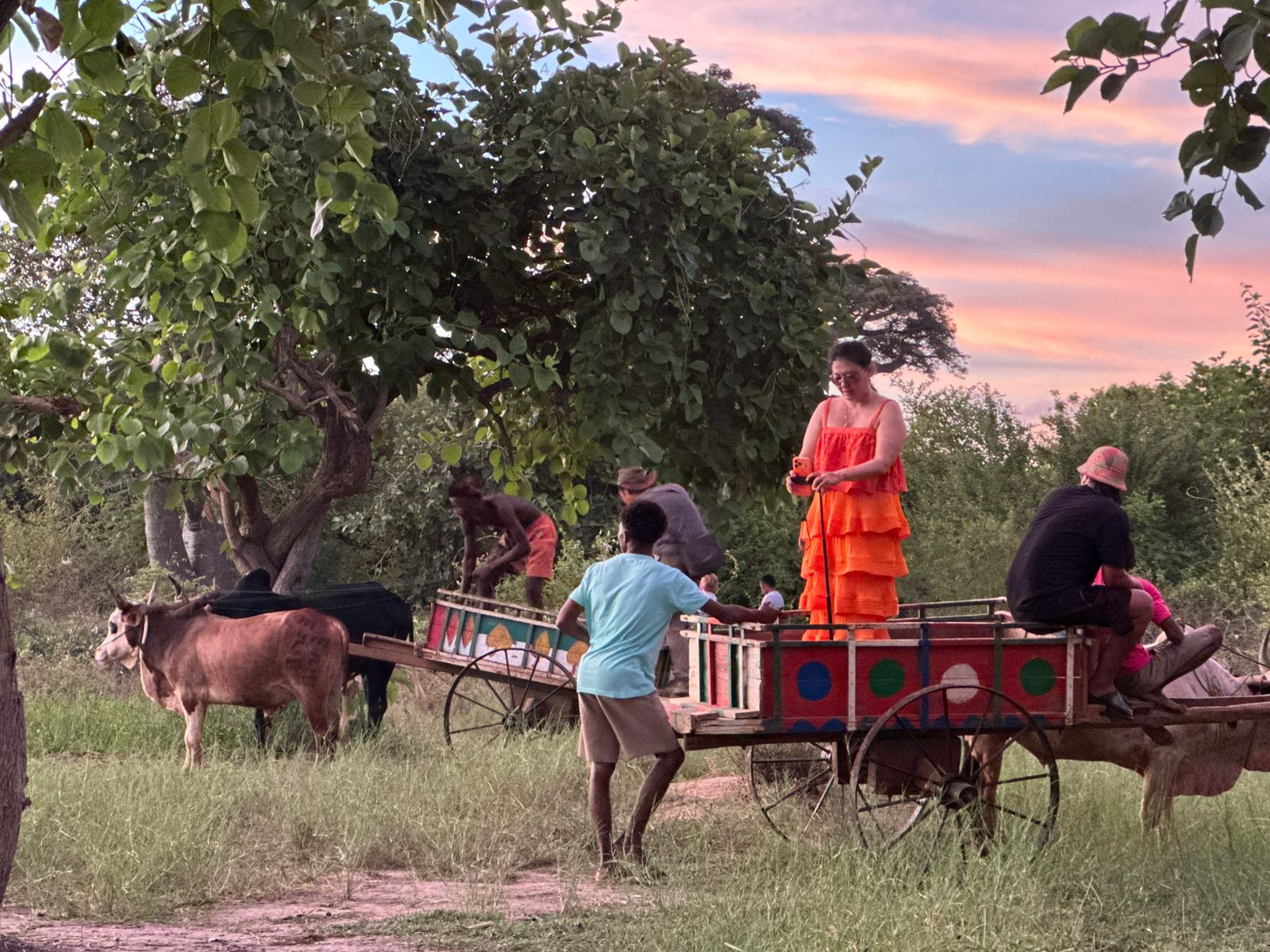 Madagascar: 3-Day Baobabs’ avenue, Lemurs Tour with Flights
