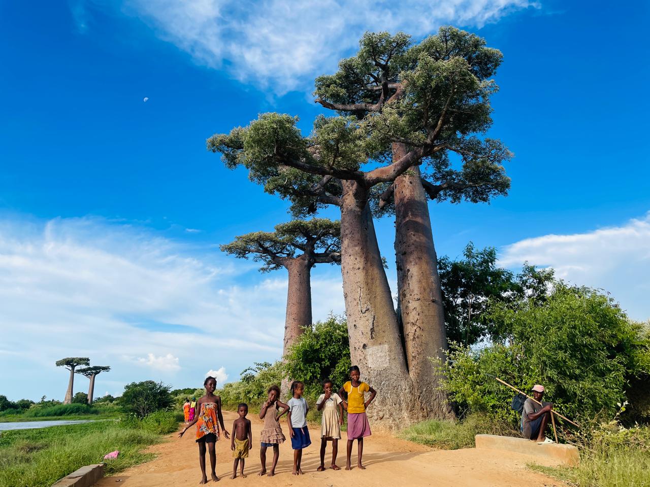 Madagascar: 3-Day Baobabs’ avenue, Lemurs Tour with Flights