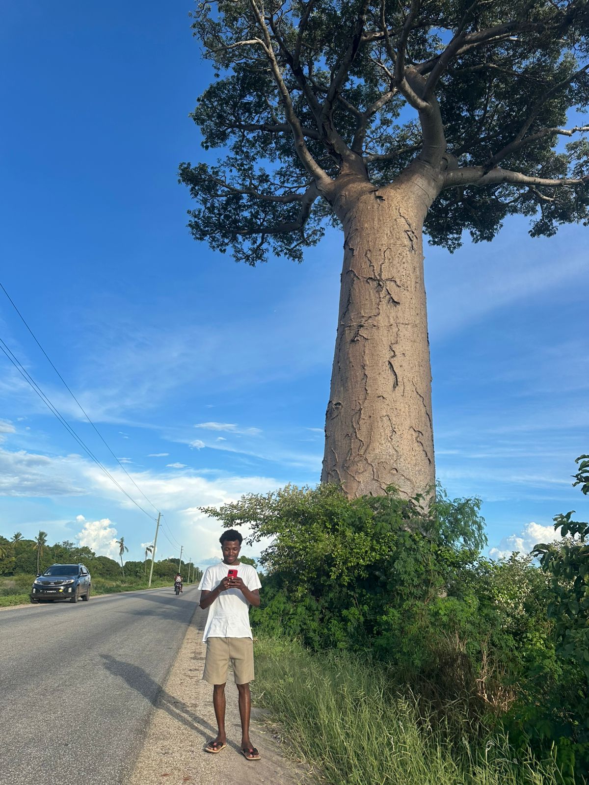 Madagascar: 3-Day Baobabs’ avenue, Lemurs Tour with Flights